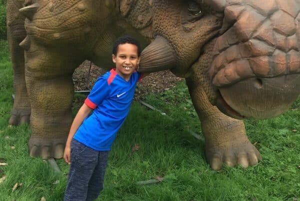 A young boy is pictured smiling beside a large dinosaur in the local park
