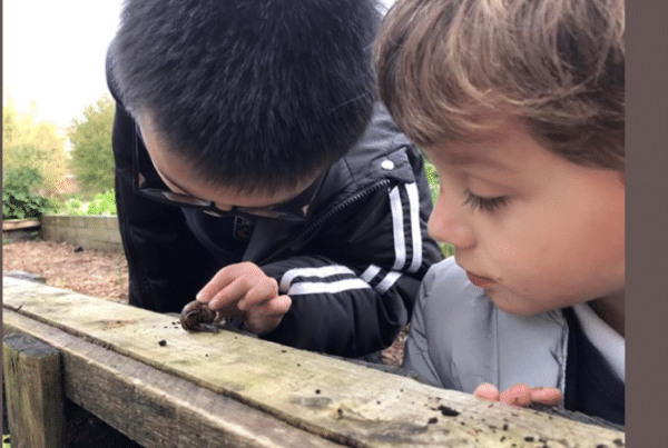Two young boys play in the wood and examine a snail