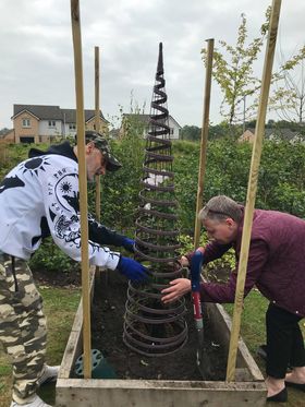 A man and woman hard at work in a vegetable garden